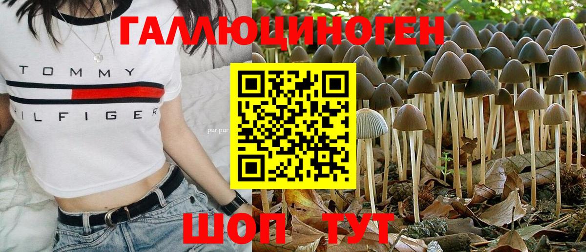 где продают   Галлюциногенные грибы Cubensis  Вход с VPN  Усть-Лабинск  Псилоцибиновые грибы прущие грибы 